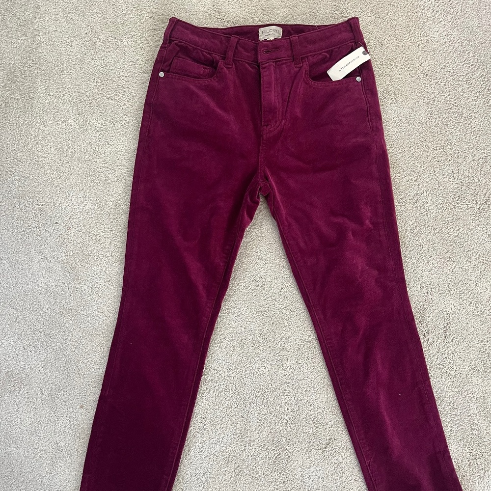 Pilcro Skinny Cords